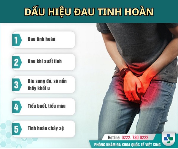 Nam giới bị đau tinh hoàn: Khi nào là bất thường cần đi khám ngay?