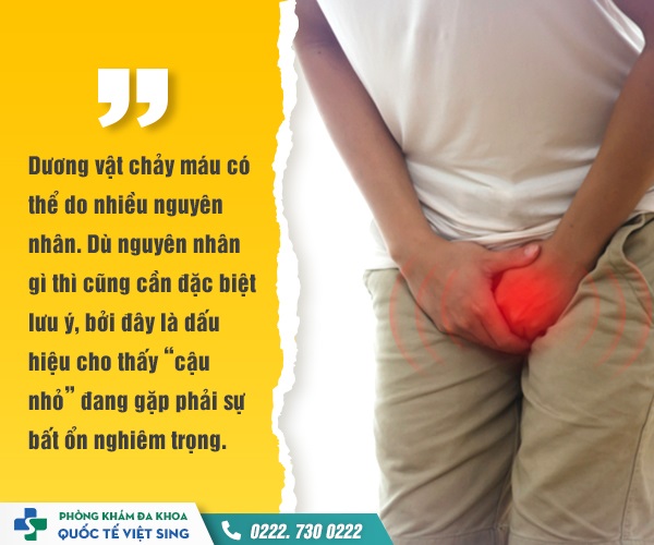 Tìm hiểu bệnh nấm dương vật ở nam giới từ A-Z